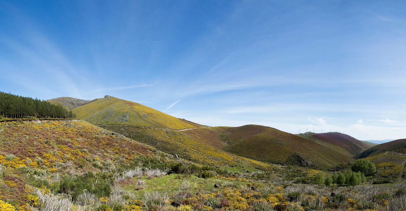 Serra do Marão